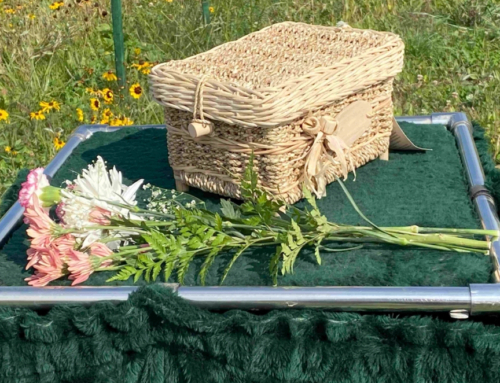 Burial Choices – Biodegradable Burial Containers