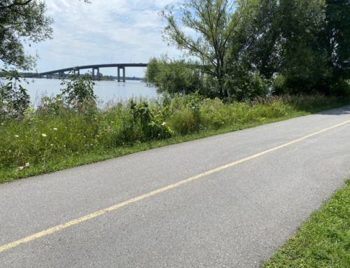 Misconceptions vs. Reality: Reframing Conversations About Long-Term Care